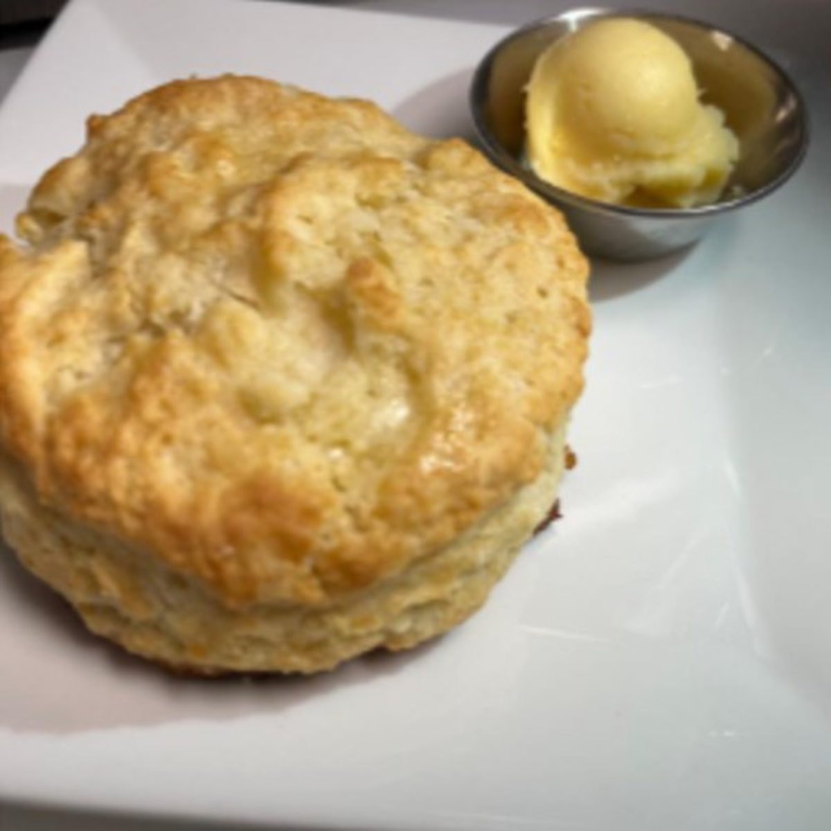 Biscuit