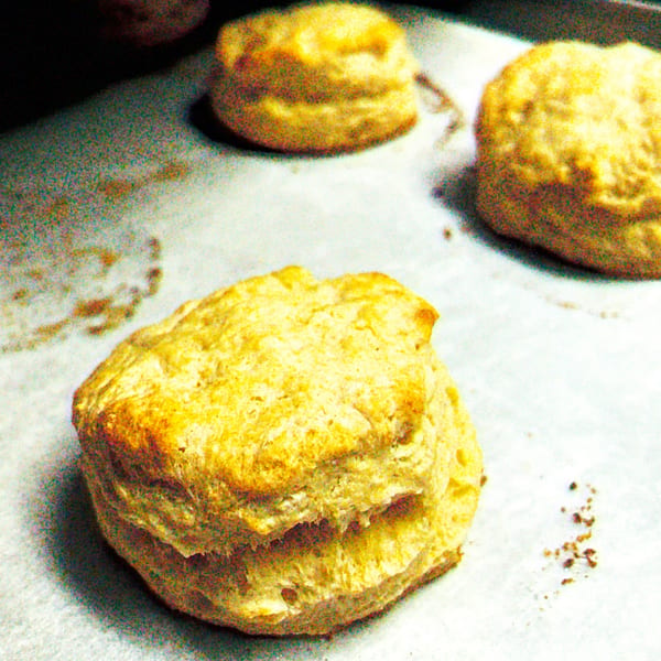Close-up of golden-brown biscuits baking on parchment paper.